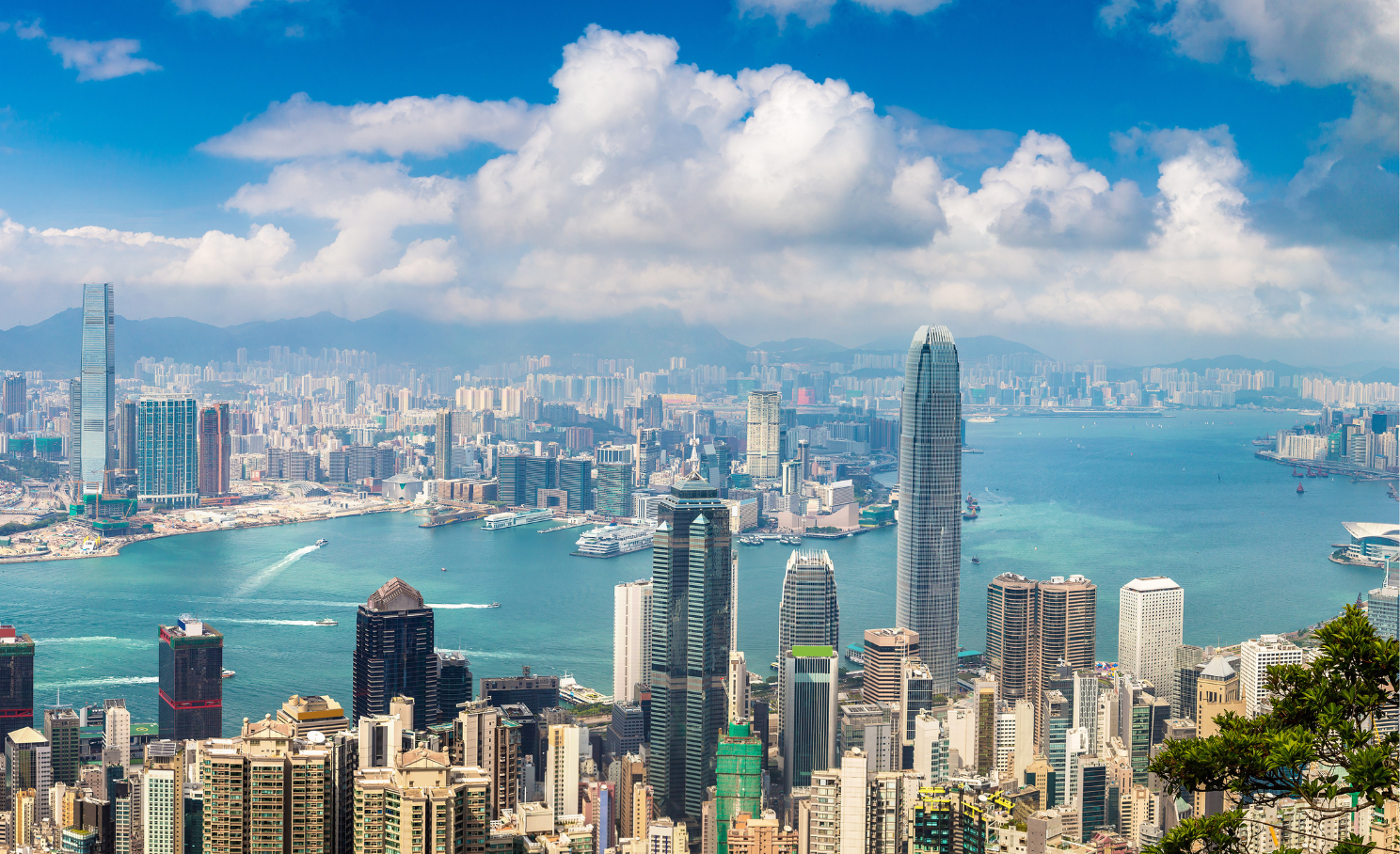 Regional office LP (International)