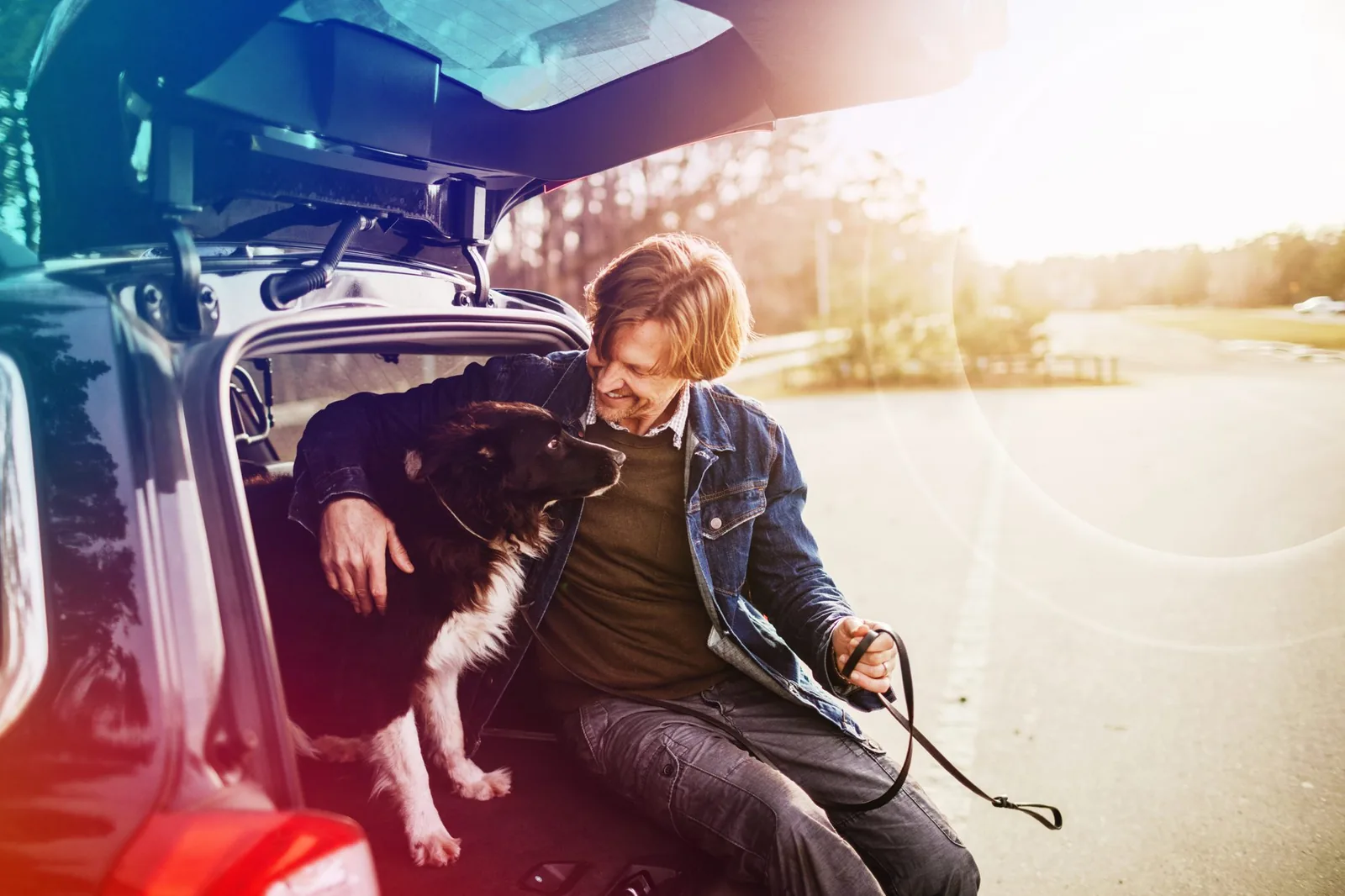 Mand med sin hund ved bilen